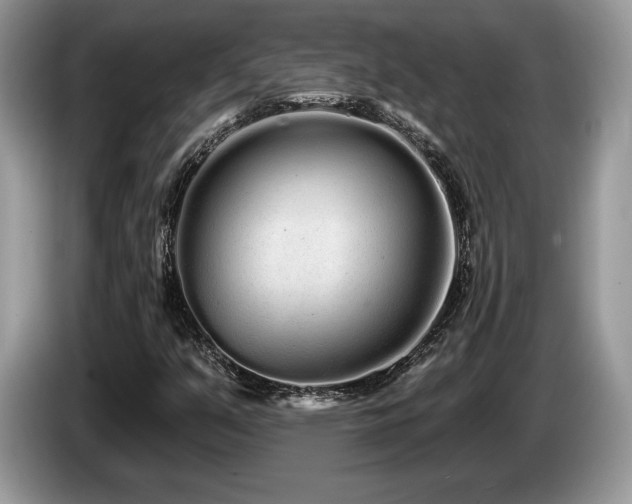 X0000087611351200704271333