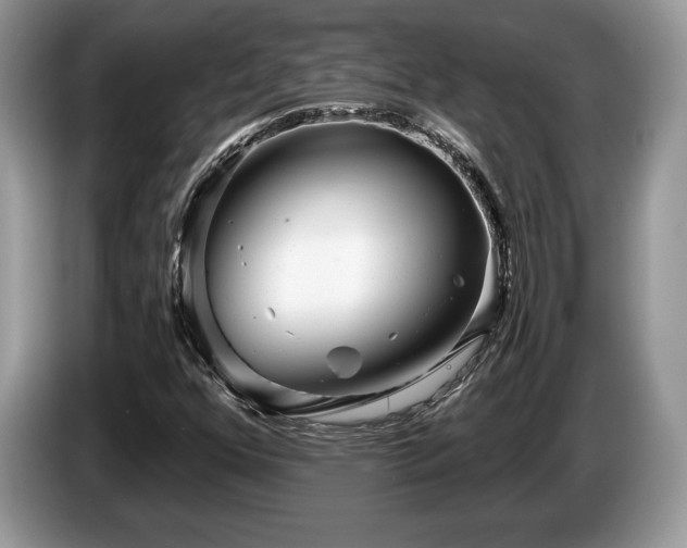 X0000087611352200704271333