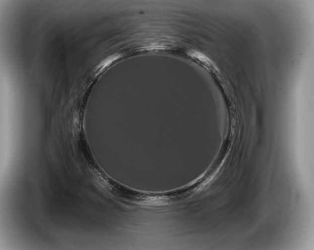 X0000087611353200704271333