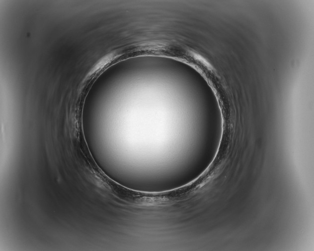 X0000087611354200704271333