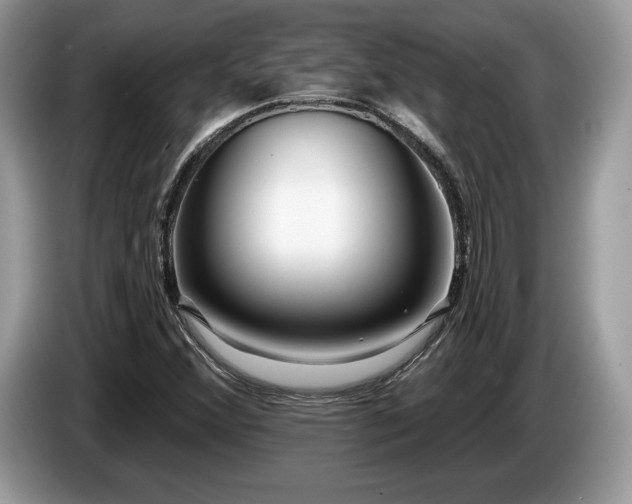 X0000087611356200704271333