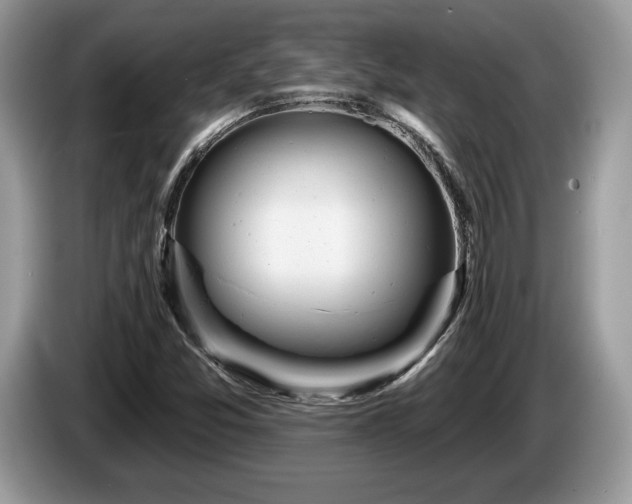 X0000087611357200704271333