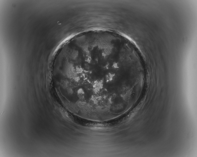 X0000087611359200704271333