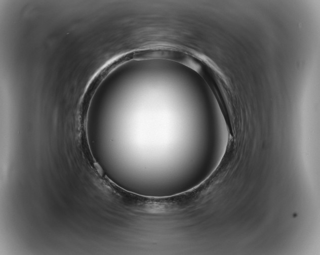 X0000087611364200704271333