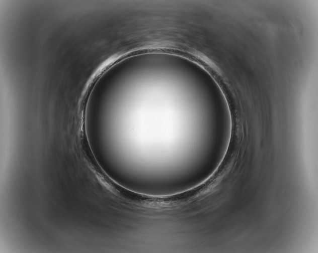 X0000087611366200704271333