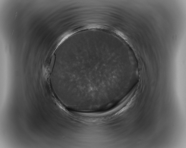 X0000087611369200704271333
