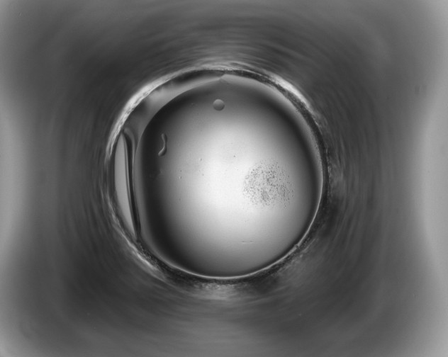 X0000087611371200704271333