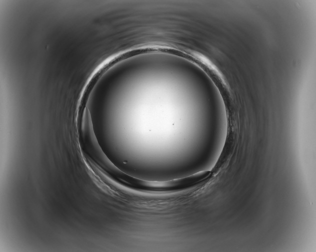 X0000087611372200704271333