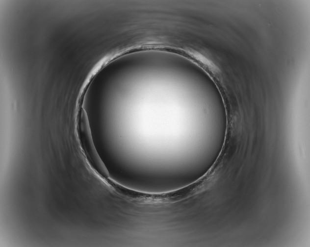 X0000087611374200704271333
