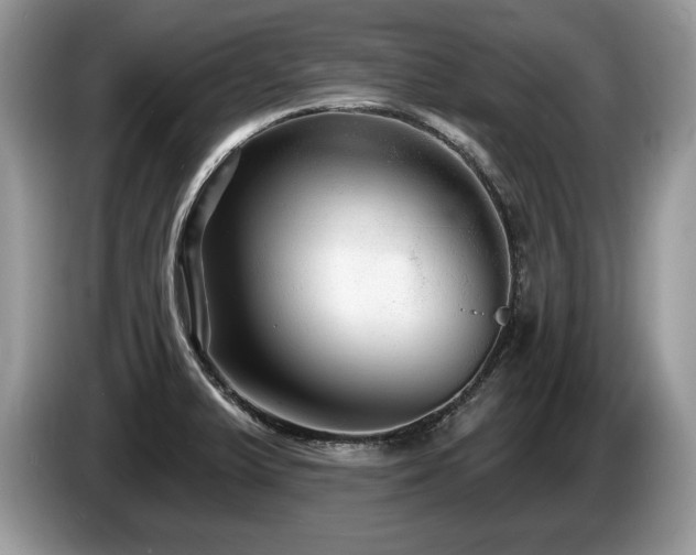 X0000087611375200704271333
