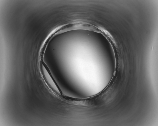 X0000087611376200704271333