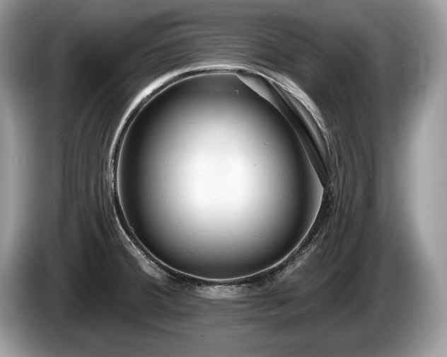 X0000087611380200704271333