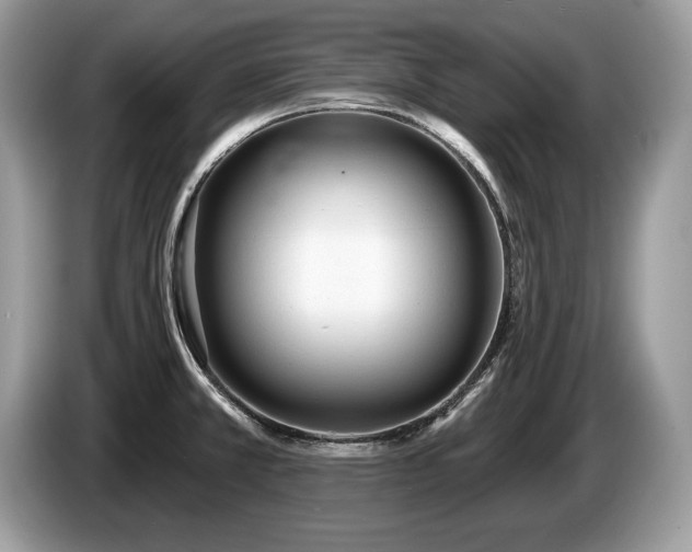 X0000087611381200704271333