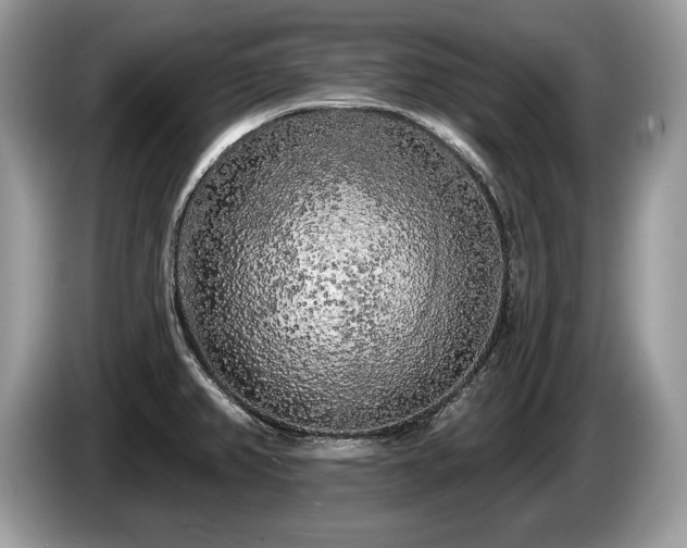 X0000087611382200704271333