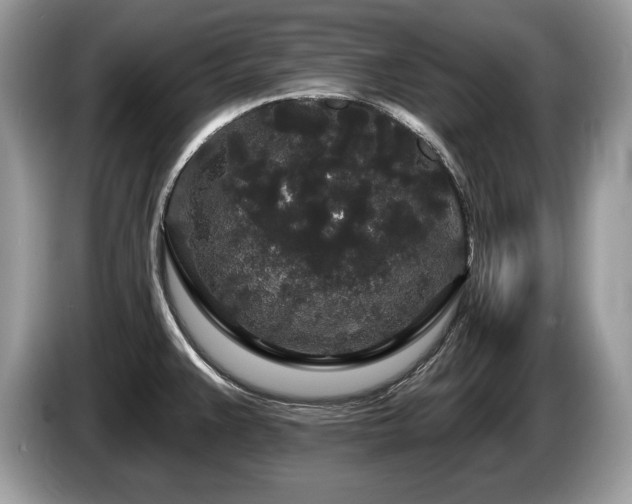 X0000087611383200704271333