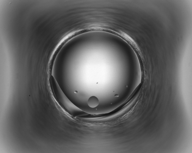X0000087611384200704271333