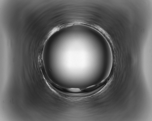 X0000087611385200704271333