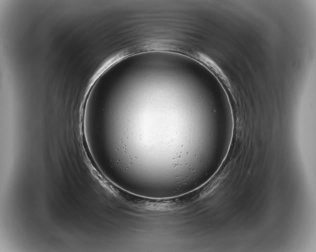 X0000087611386200704271333