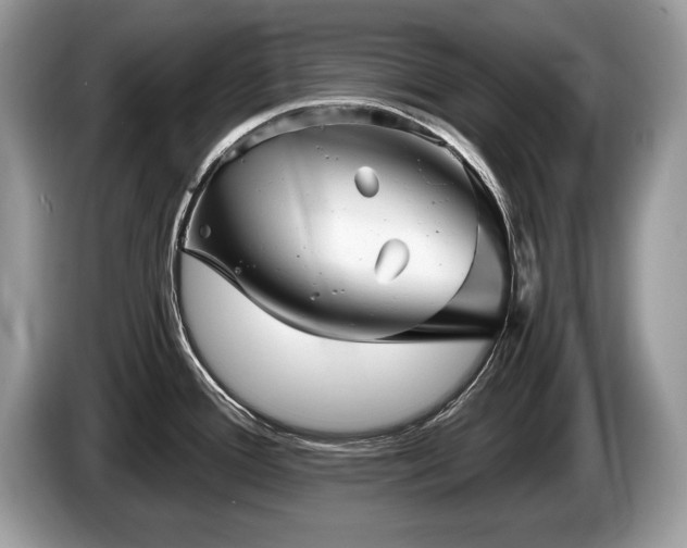 X0000087611388200704271333
