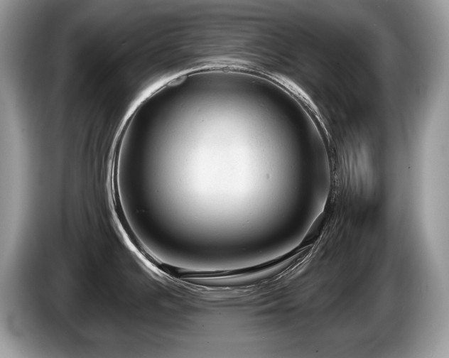 X0000087611391200704271333