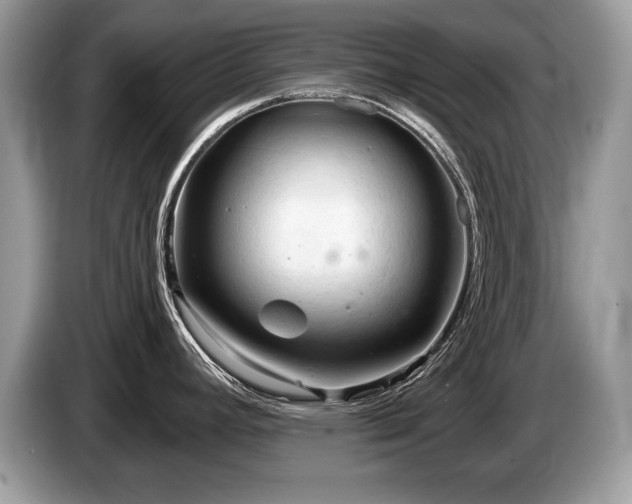 X0000087611392200704271333