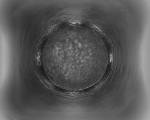 X0000087611396200704271332