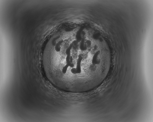 X0000087611397200704271332