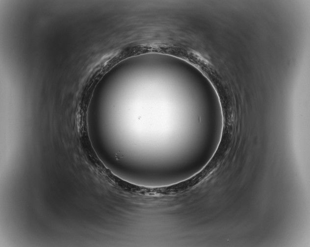 X0000087611398200704271332