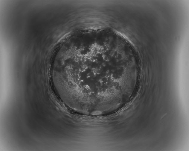 X0000087611399200704271332