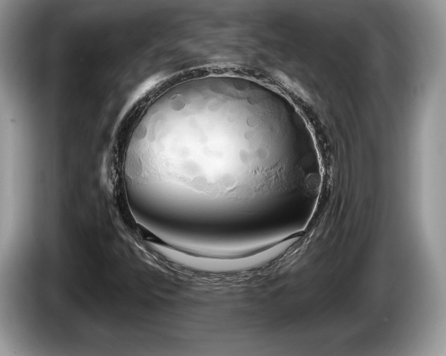 X0000087611400200704271332