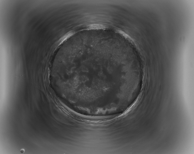 X0000087611401200704271332