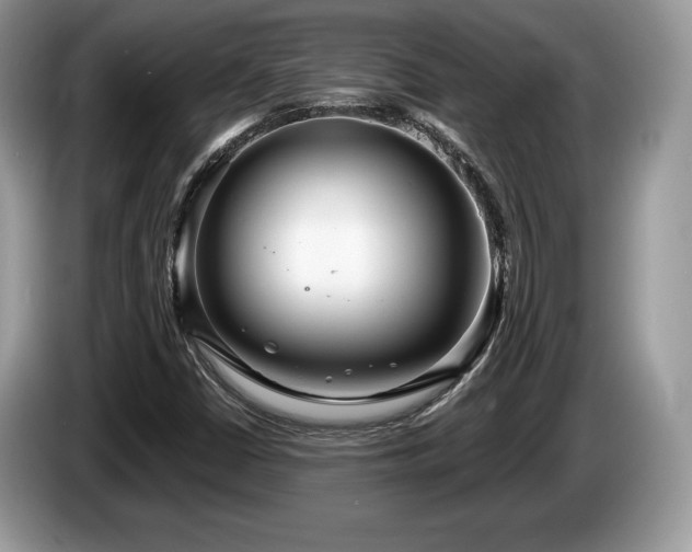 X0000087611402200704271332
