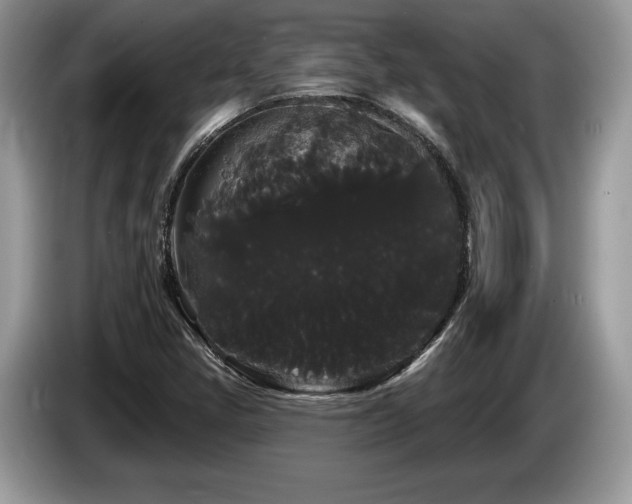 X0000087611405200704271332