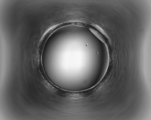 X0000087611408200704271332