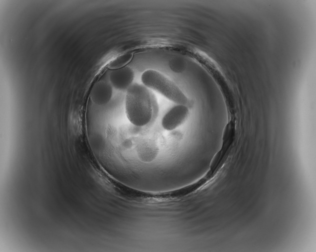 X0000087611409200704271332