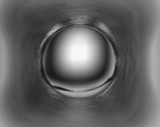 X0000087611410200704271332