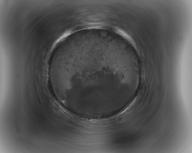 X0000087611411200704271332