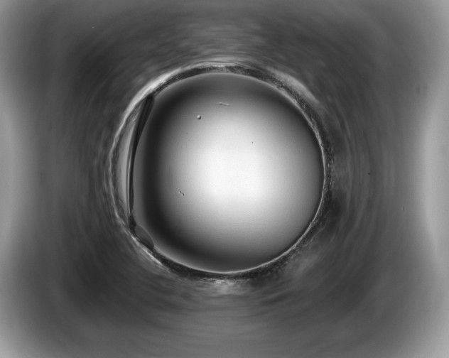 X0000087611412200704271332