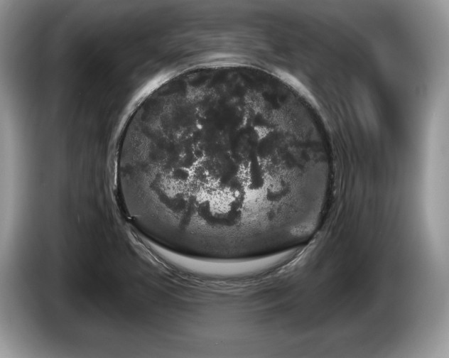 X0000087611413200704271332