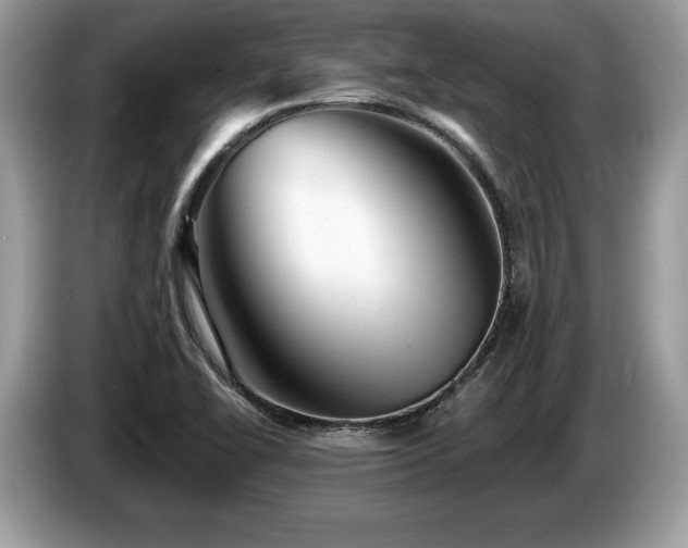 X0000087611414200704271332