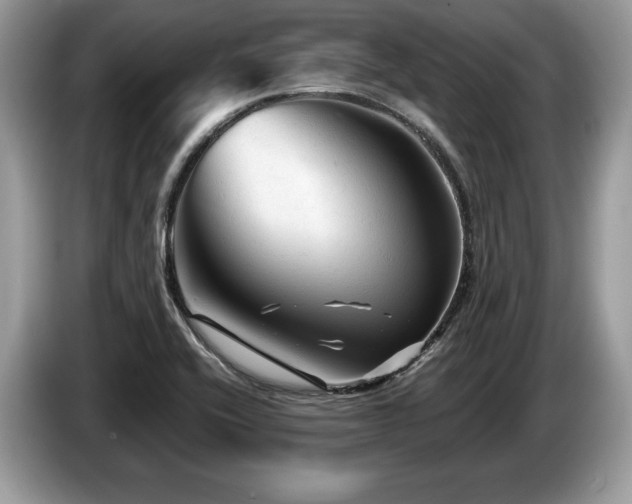X0000087611416200704271332