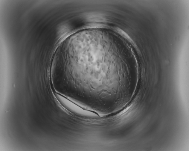 X0000087611417200704271332