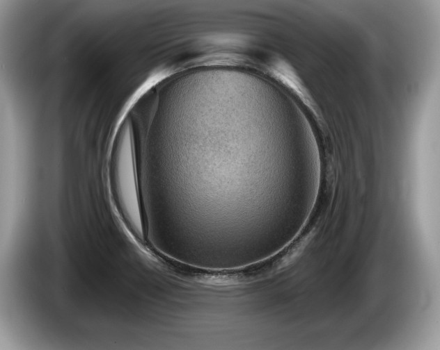 X0000087611418200704271332