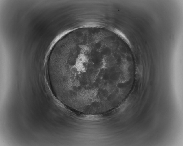 X0000087611419200704271332