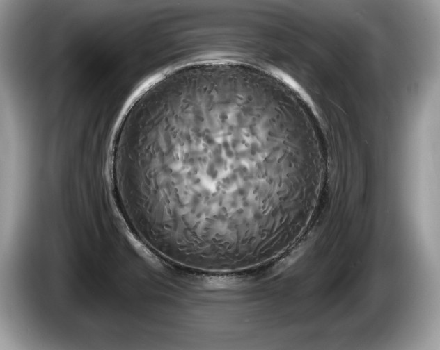 X0000087611421200704271332
