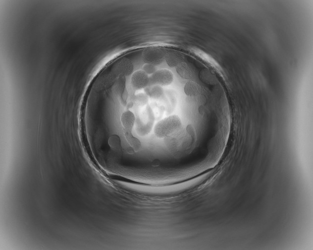 X0000087611423200704271332