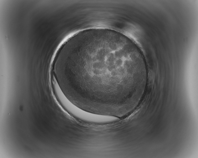 X0000087611424200704271333