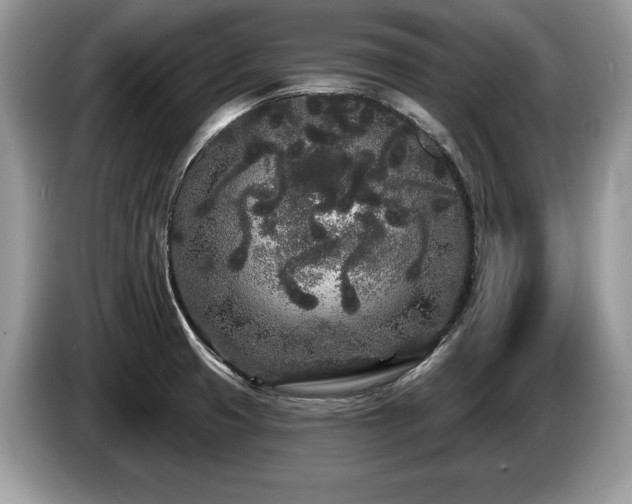 X0000087611425200704271333