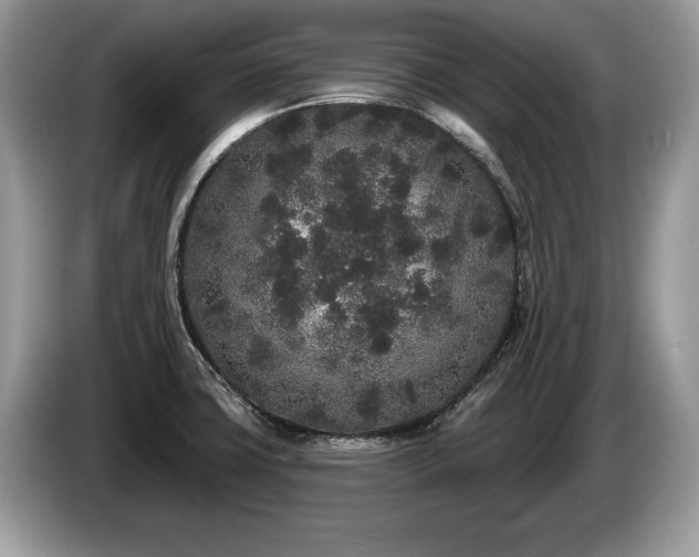 X0000087611427200704271333