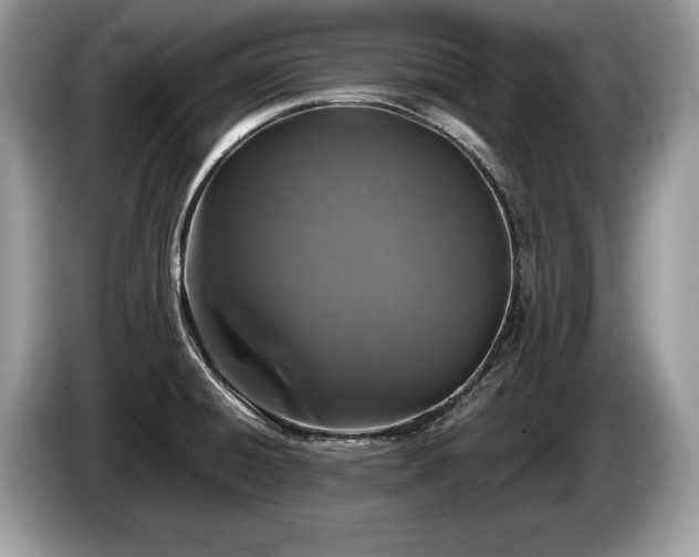 X0000087611428200704271333